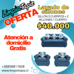 Foto del perfil de LimpiaTapiz